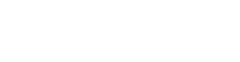 Canada wordmark